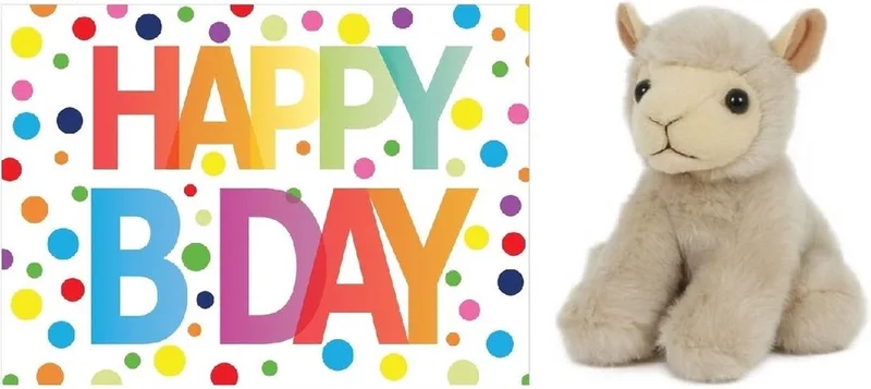 Pluche knuffel lammetje/schaap 13 cm met A5-size Happy Birthday wenskaart - Verjaardag cadeau setje - Een knuffel sturen by Aurora in White – product photo