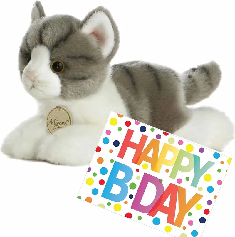 Pluche knuffel poes - wit - 20 cm - met A5-size Happy Birthday wenskaart - cadeau - kat - Verjaardag cadeau setje by Aurora in Grey – product photo