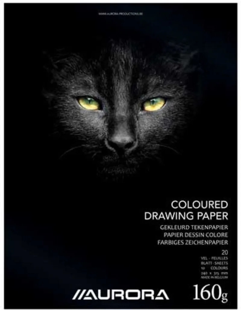 Tekenblok - Gekleurd Tekenpapier - 240 mm x 315 mm - 160g - 20 vel från Aurora i Gemengd – produktbild