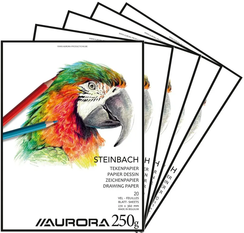 Tekenblok - Steinbach - 270mm x 360mm - 250g - 20 Vel Tekenpapier - 5 Stuks by Aurora in White – product photo