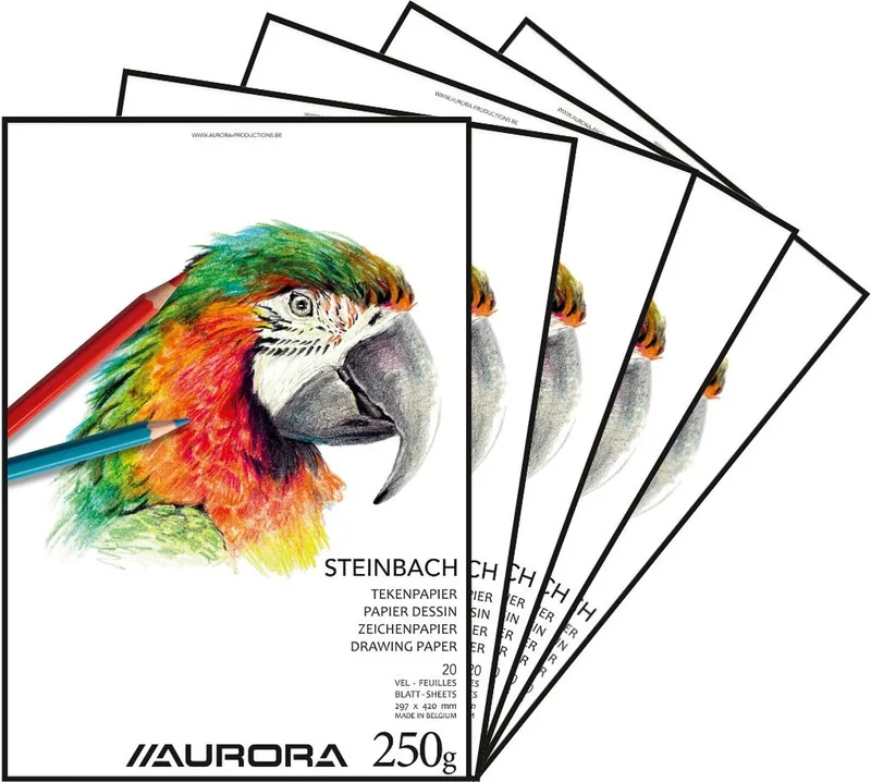 Tekenblok - Steinbach - A3 - 297x420mm - 250gr - 20 vel Tekenpapier - 5 stuks by Aurora in White – product photo