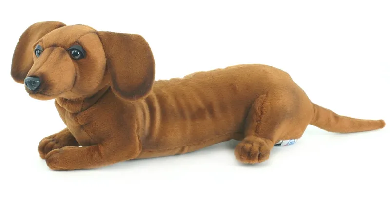 knuffel Teckel hond - 40 cm - pluche - knuffelhond - knuffeldier - realistische knuffels fra Hansa Creations i Brun, Beige – produktbillede