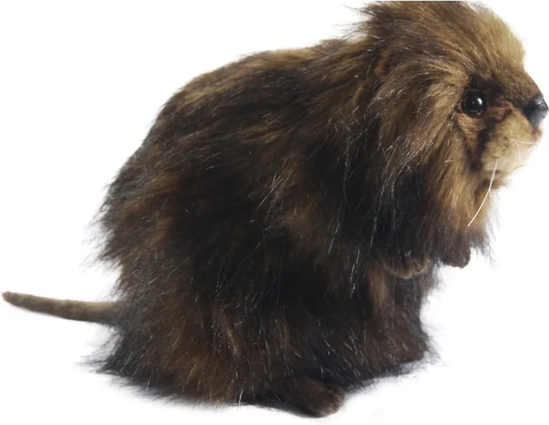 Muskusrat knuffel - 22 cm - pluche - realistisch design - knuffeldier fra Hansa Creations i Brun – produktbillede