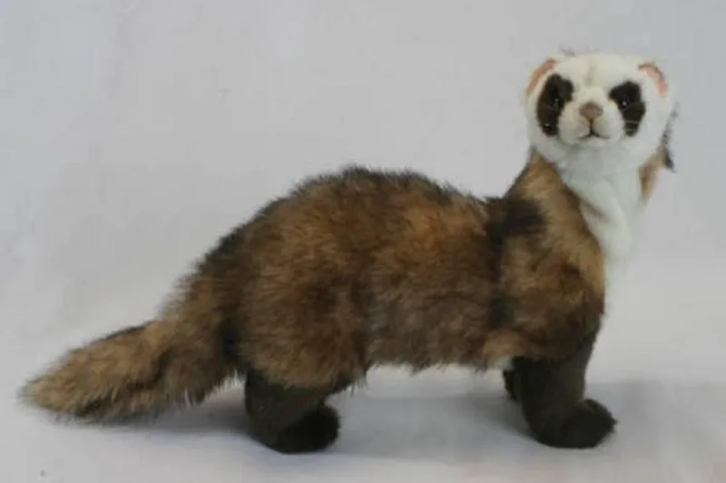 pluche fret knuffel - 35 cm - dieren knuffels van Hansa Creations in Meerkleurig – productfoto