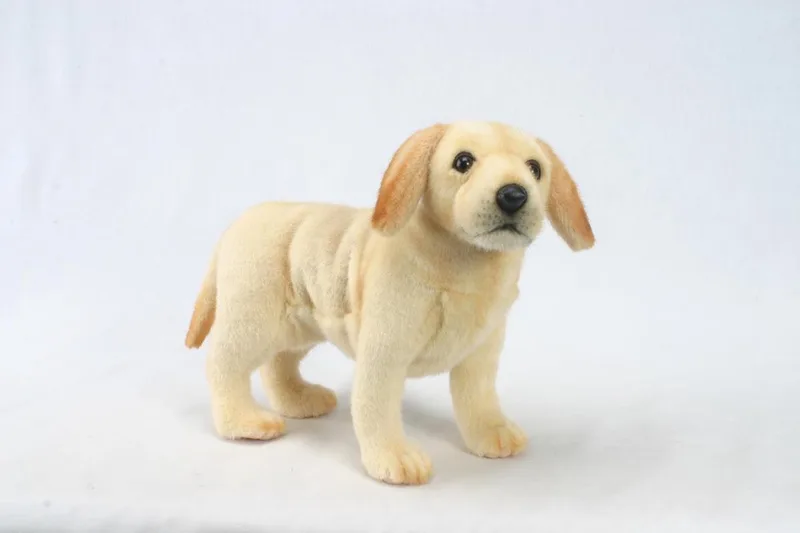 Pluche Labrador pup - blond - 35 cm - knuffel hond - huisdieren hondenknuffel från Hansa Creations i Kräm – produktbild