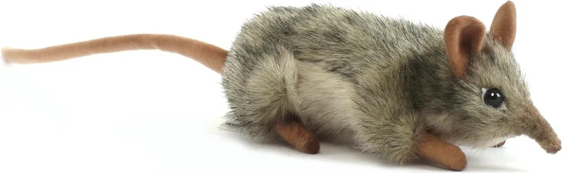 Pluche Olifantsmuis Knuffel - Bruin/Grijs - 18 cm - muis - Knuffeldier - Springspitsmuis - Voor educatief spel of decoratie de Hansa Creations en Multicolore – photo produit