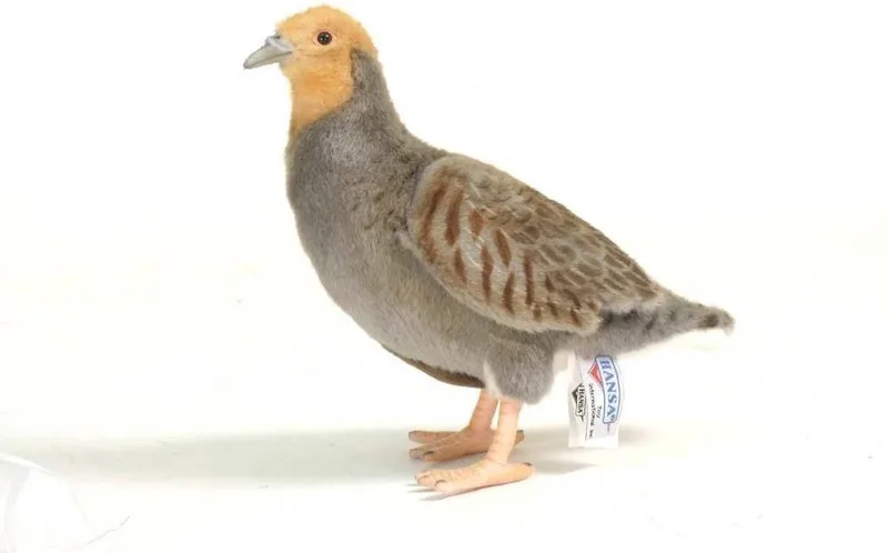pluche patrijs knuffel - vogel - 26 cm - dieren by Hansa Creations in Multicolour – product photo