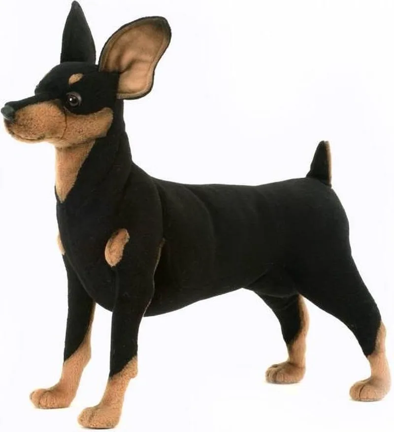 Pluche Pincher hond - 43 cm - knuffel hond - huisdieren knuffelhond - realistische knuffels by Hansa Creations in Multicolour – product photo