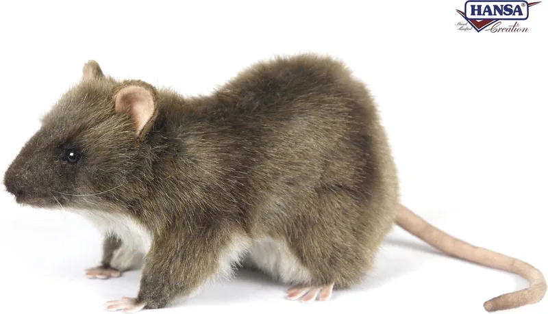 pluche rat - knuffel rat - 19 cm - levensechte knuffeldier - realistisch by Hansa Creations in Multicolour – product photo
