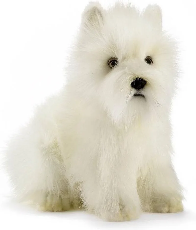 pluche West Highland Terrier - honden knuffel - 23 cm - huisdier knuffel von Hansa Creations in Weiß – Produktfoto
