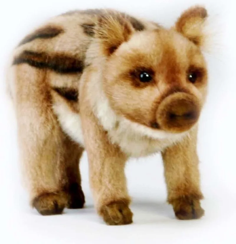 pluche wild zwijn knuffel - 23 cm - staand - dieren knuffels - zwijnenknuffel - realistisch från Hansa Creations i Flerfärgad – produktbild
