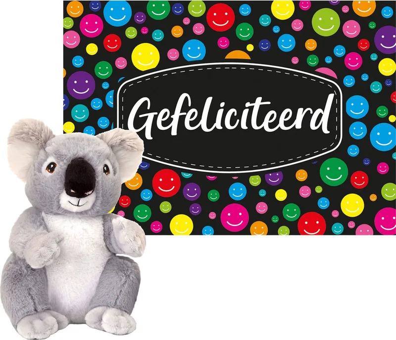 Cadeaukaart A5 Gefeliciteerd met superzacht knuffeldier koala 26 cm van Keel Toys in Meerkleurig – productfoto