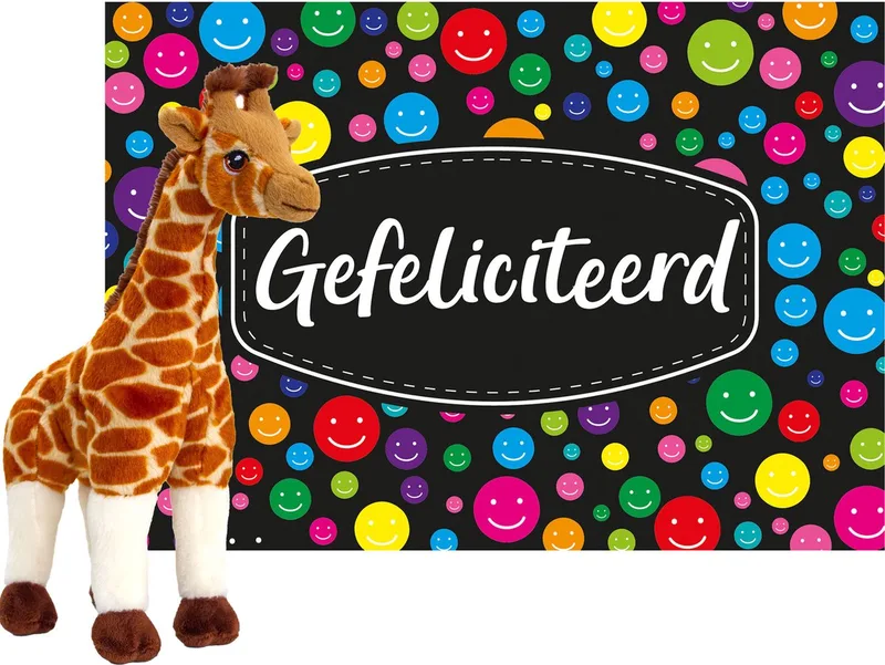 Cadeauset - A5 cadeaukaart Gefeliciteerd met giraffe knuffel - 30 cm by Keel Toys in Multicolour – product photo
