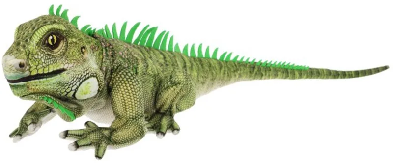 XL Leguaan - 65 cm - Dieren knuffelbeesten by Keel Toys in Green – product photo