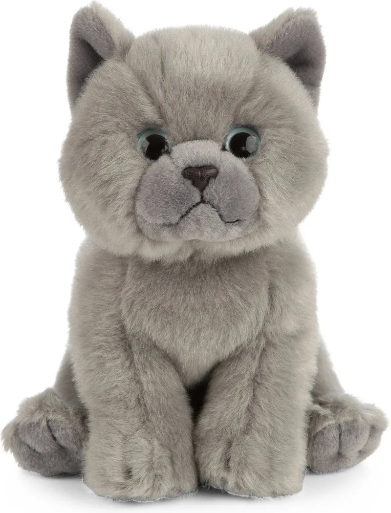 Kat knuffel - Britse korthaar - pluche - 16 cm - poes knuffeldier von Living Nature in Grau – Produktfoto