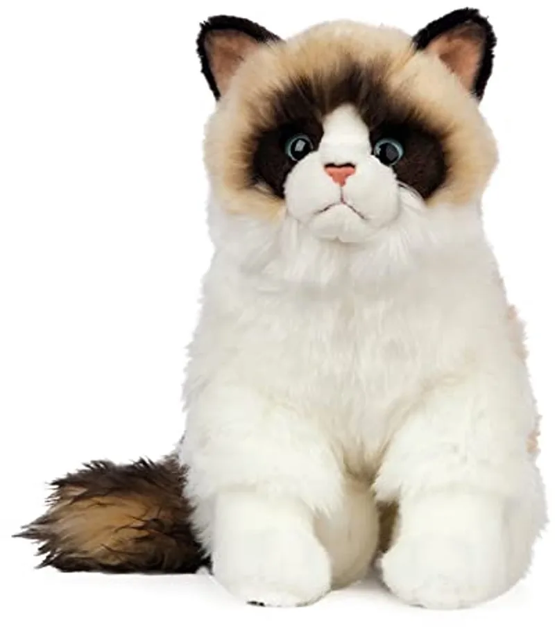 knuffel Ragdoll kat - zachte pluche speelgoedkat. by Living Nature in Multicolour – product photo