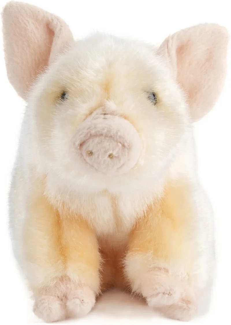 Pluche varken knuffel 20 cm speelgoed - Varken/big boerderijdieren knuffels - Speelgoed by Living Nature in Pink – product photo