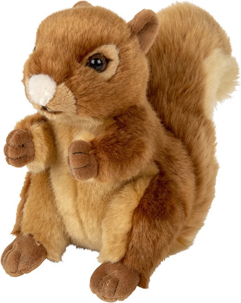 Eekhoorn knuffel - pluche rode eekhoorns - 18 cm - knuffeldier by Nature Planet in Multicolour – product photo