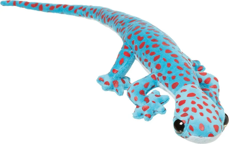 Knuffeldier Arizona Gekko Hagedis - zachte pluche stof - premium knuffels - 62 cm by Nature Planet in Blue – product photo