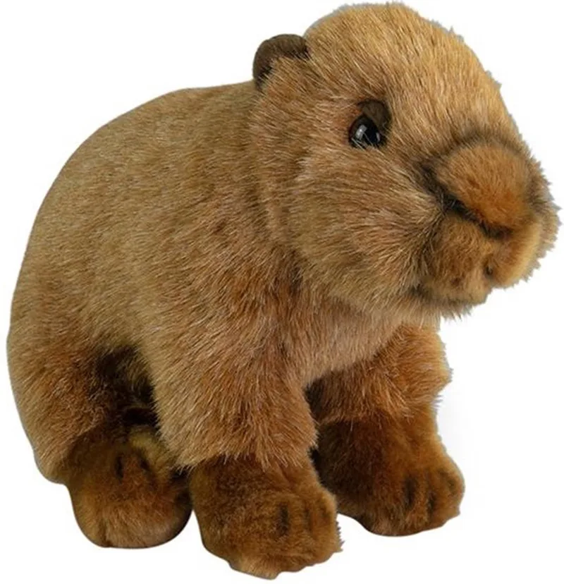 Knuffeldier Capybara - pluche knuffel - 20 cm - bosdier knuffel van Nature Planet in Bruin – productfoto