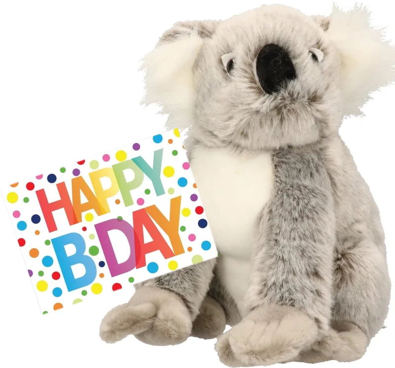 Pluche knuffel koala beer 25 cm met A5-size Happy Birthday wenskaart - Verjaardag cadeau setje van Nature Planet in Meerkleurig – productfoto