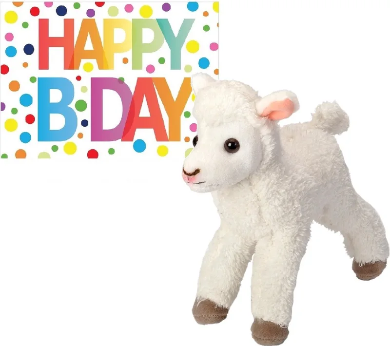 Pluche knuffel lammetje/schaap 20 cm met A5-size Happy Birthday wenskaart - Verjaardag cadeau setje - Een knuffel sturen från Nature Planet i Vit – produktbild