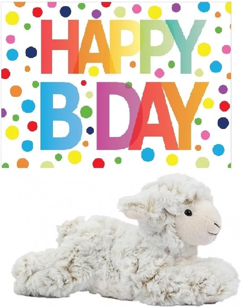 Pluche knuffel lammetje/schaap 22 cm met A5-size Happy Birthday wenskaart - Verjaardag cadeau setje - Een knuffel sturen från Nature Planet i Vit – produktbild