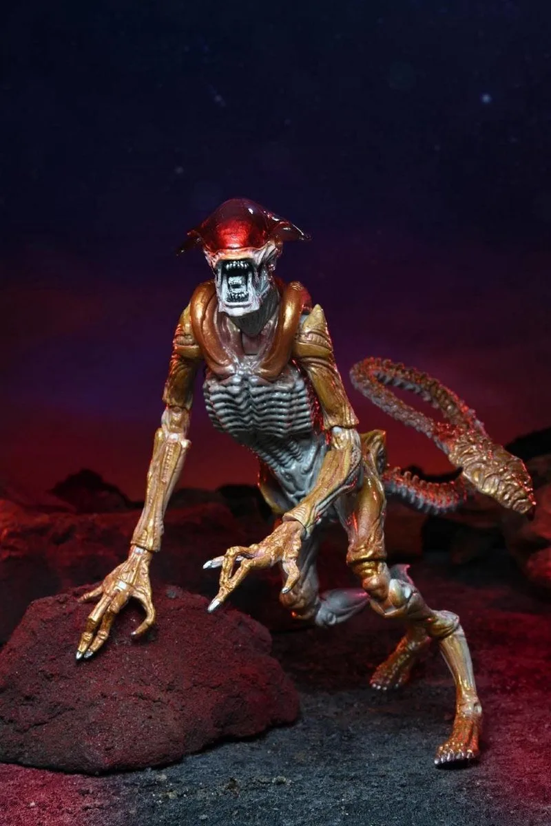 Aliens - 7" Scale Action Figure - Kenner Tribute Panther Alien by NECA in Bonte kleuren – product photo