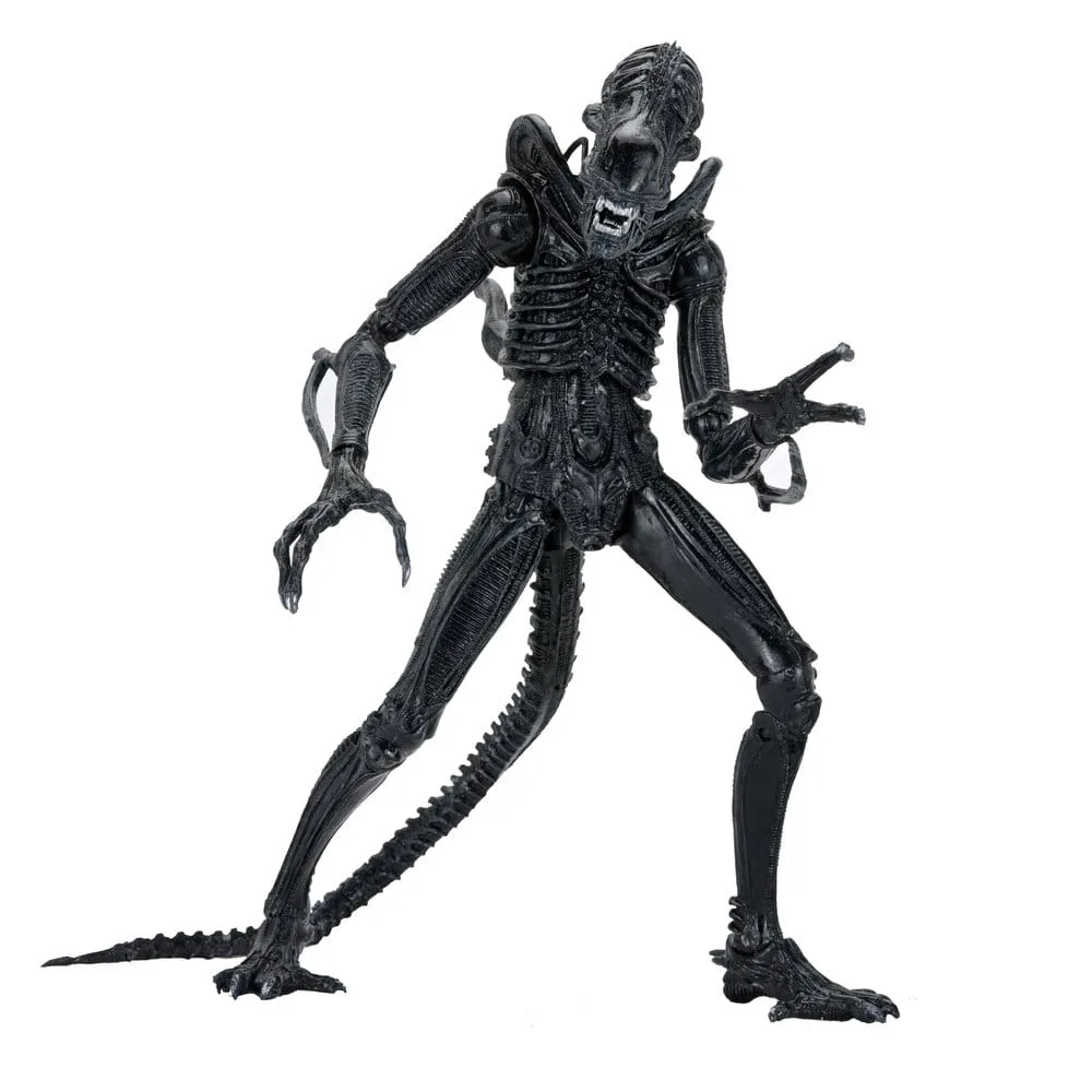 Aliens Ultimate Xenomorph Warrior Black by NECA – product photo