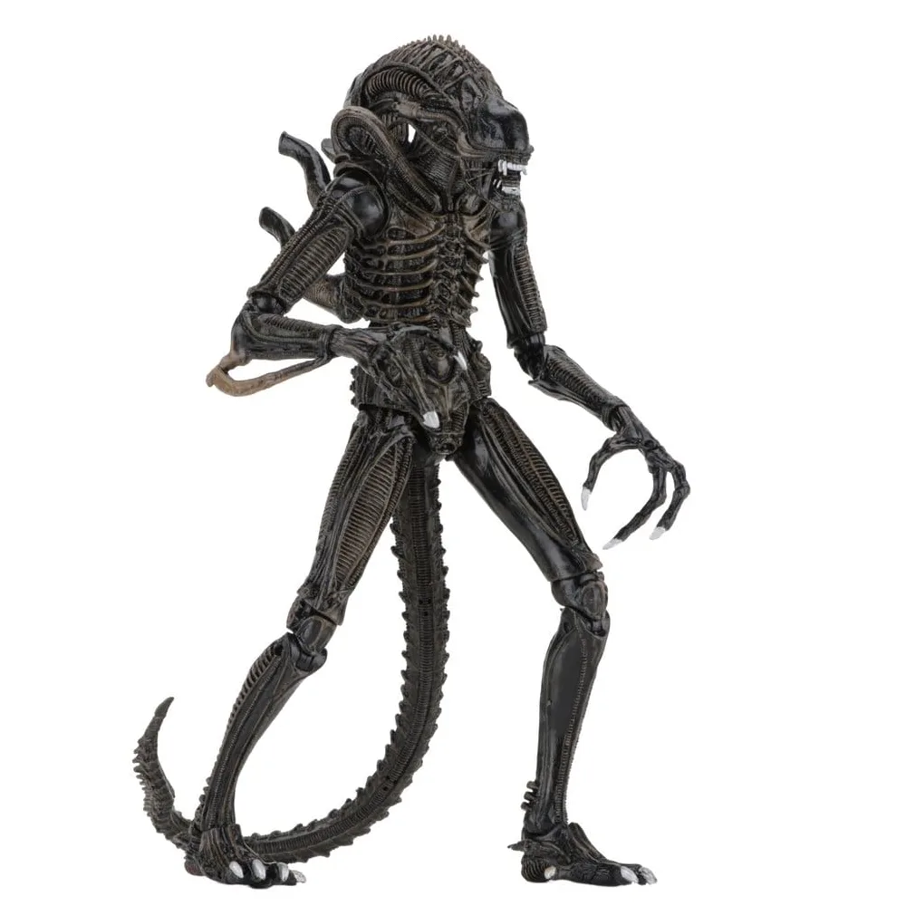 Aliens Ultimate Xenomorph Warrior Brown by NECA – product photo