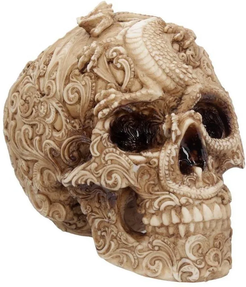 Beeld Cranial Drakos Schedel by Nemesis Now in Multicolours – product photo