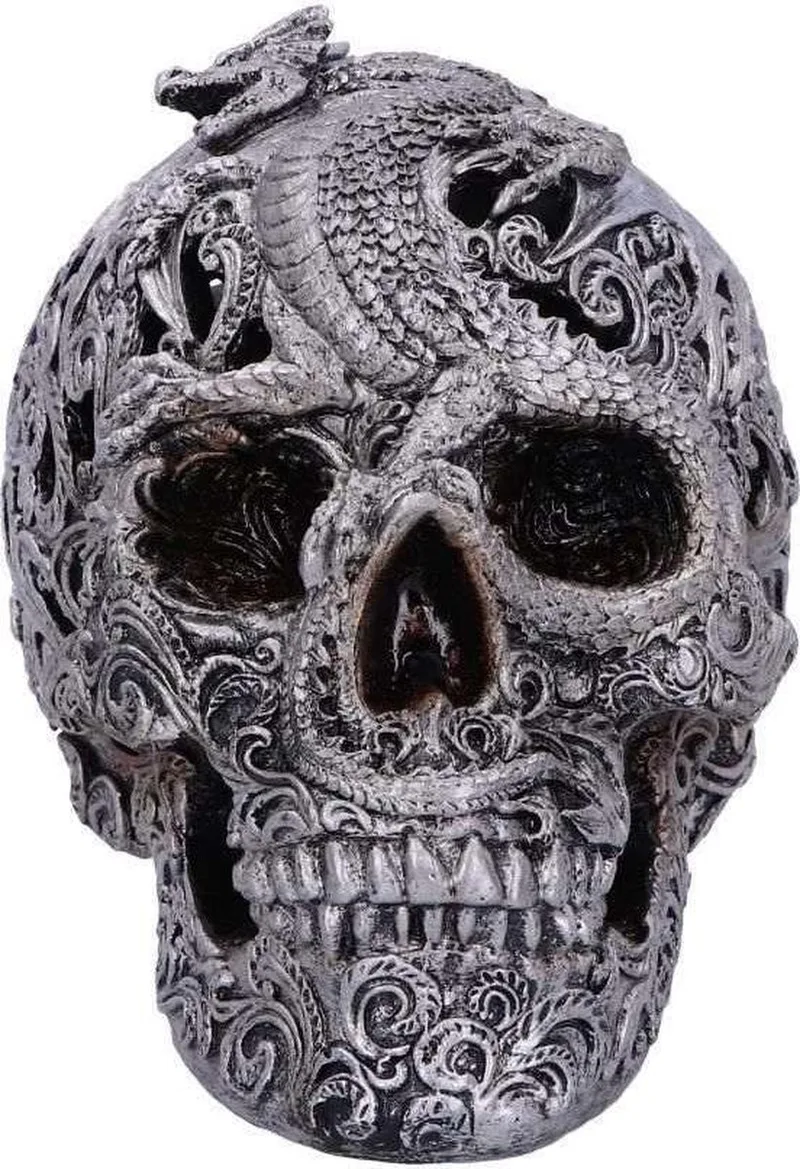 Beeld/figuur Cranial Drakos Schedel Zilverkleurig by Nemesis Now in Silver – product photo