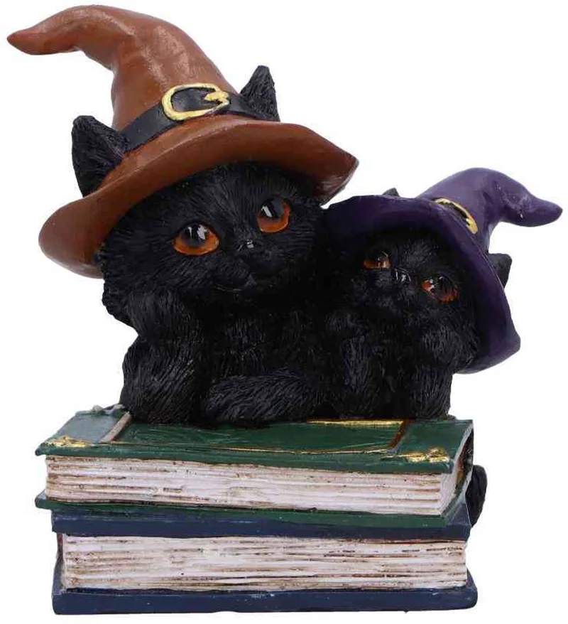 Duo Divination Beeld/figuur - Kat by Nemesis Now in Multicolours – product photo