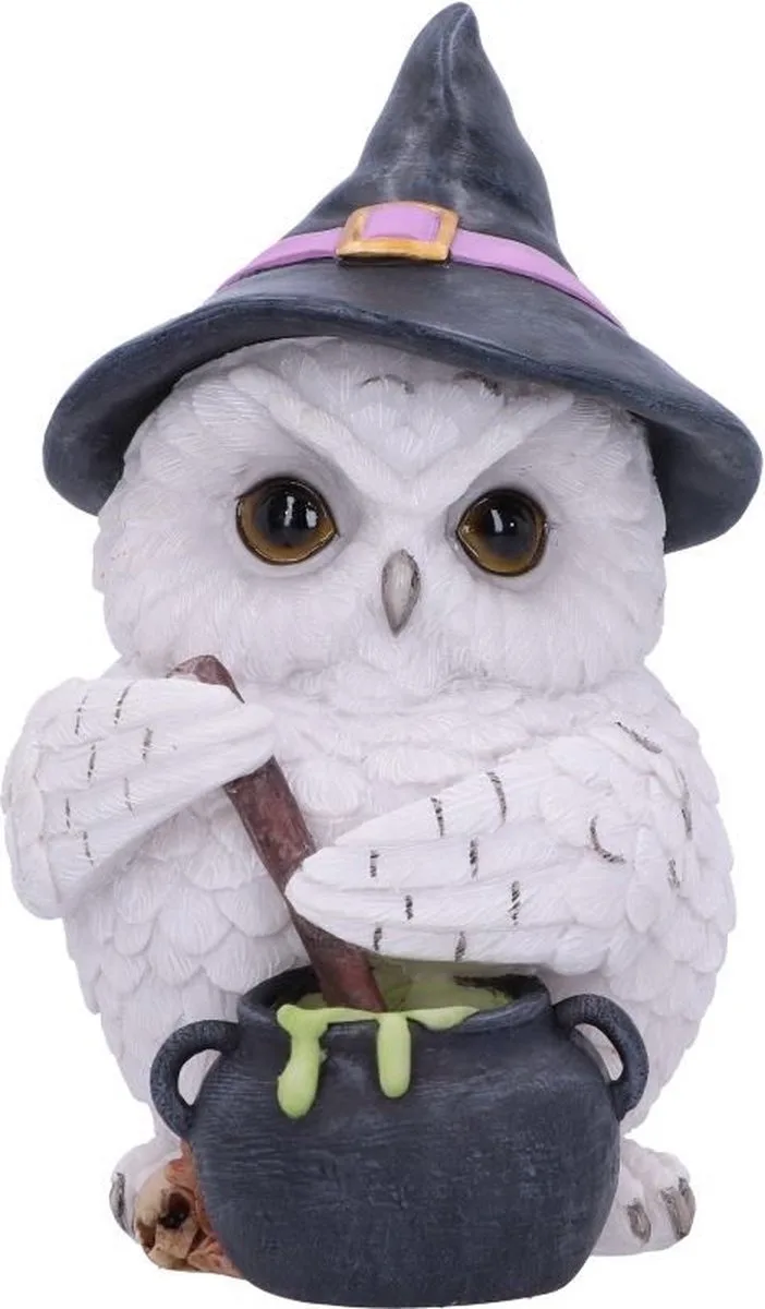 Owl Potion Beeld/figuur - Uil van Nemesis Now in Multicolours – productfoto