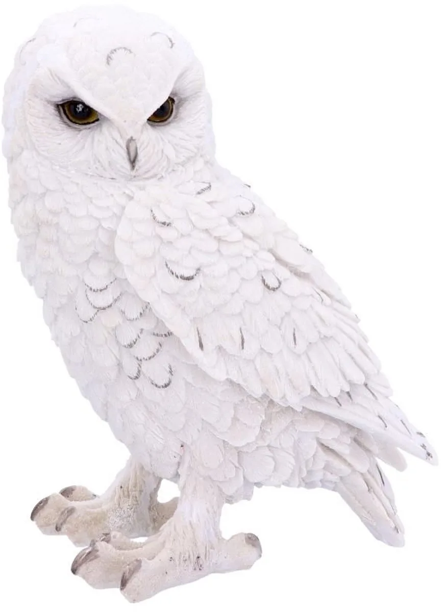 Snowy Watch Large Beeld/figuur - Uil van Nemesis Now in Wit – productfoto