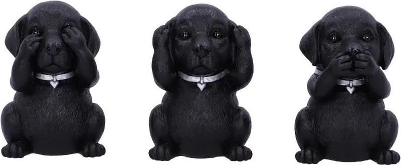 Three Wise Labradors 8.5cm Beeldjes/figuren by Nemesis Now in Multicolours – product photo