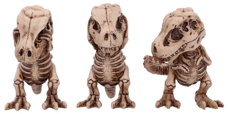 Three Wise Tyrannosaurus Rex Skeletons Unisex beeld - meerkleurig - Standard by Nemesis Now in Multicolour – product photo
