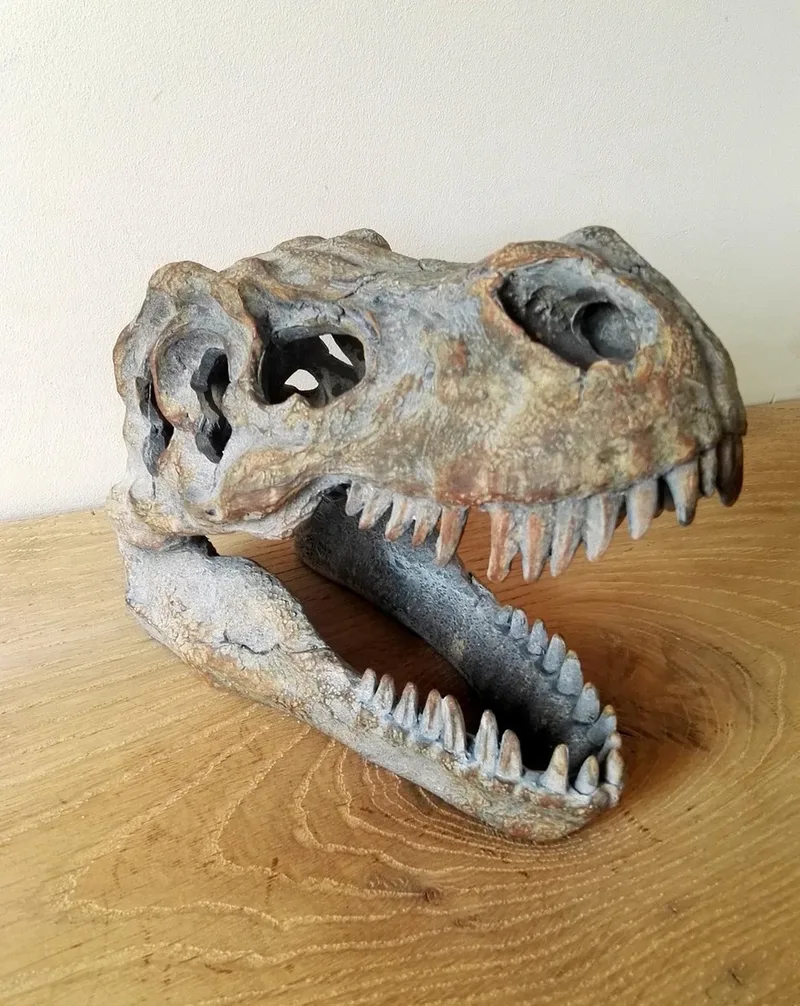 Tyrannosaurus Rex Skull Freestanding Beeld/figuur by Nemesis Now in Grey – product photo
