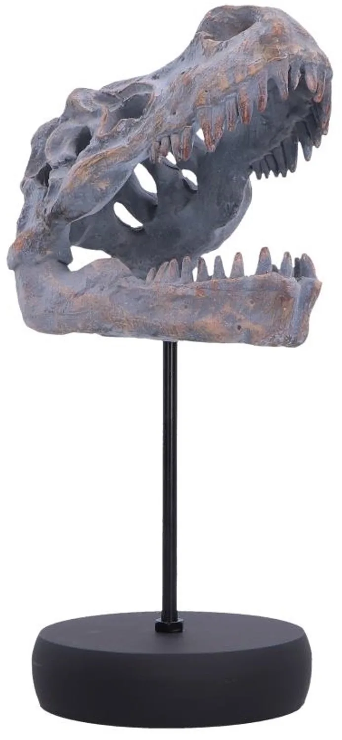 Tyrannosaurus Rex Skull on Plinth Beeld/figuur by Nemesis Now in Multicolours – product photo