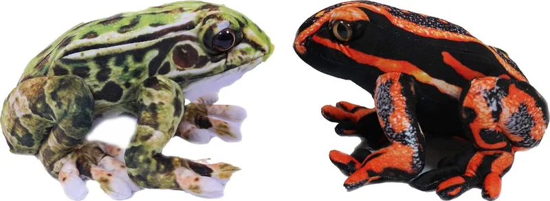 Knuffeldier Kikkers - Giftige boomkikkers - 2x stuks - knuffels - en groen - 24cm by Pia Soft Toys in Red – product photo