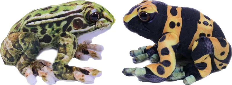Knuffeldier Kikkers - Giftige boomkikkers - 2x stuks - knuffels - groen en geel - 24cm by Pia Soft Toys in Multicolour – product photo