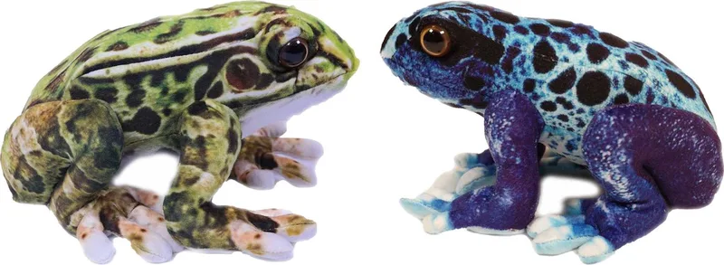 Knuffeldier Kikkers - Giftige boomkikkers - 2x stuks - knuffels - groen en blauw - 24cm by Pia Soft Toys in Multicolour – product photo