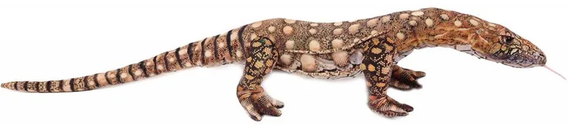 Knuffeldier Varaan hagedis - zacht pluche - schutkleuren - 90 cm - reptielen de Pia Soft Toys en Marron – photo produit