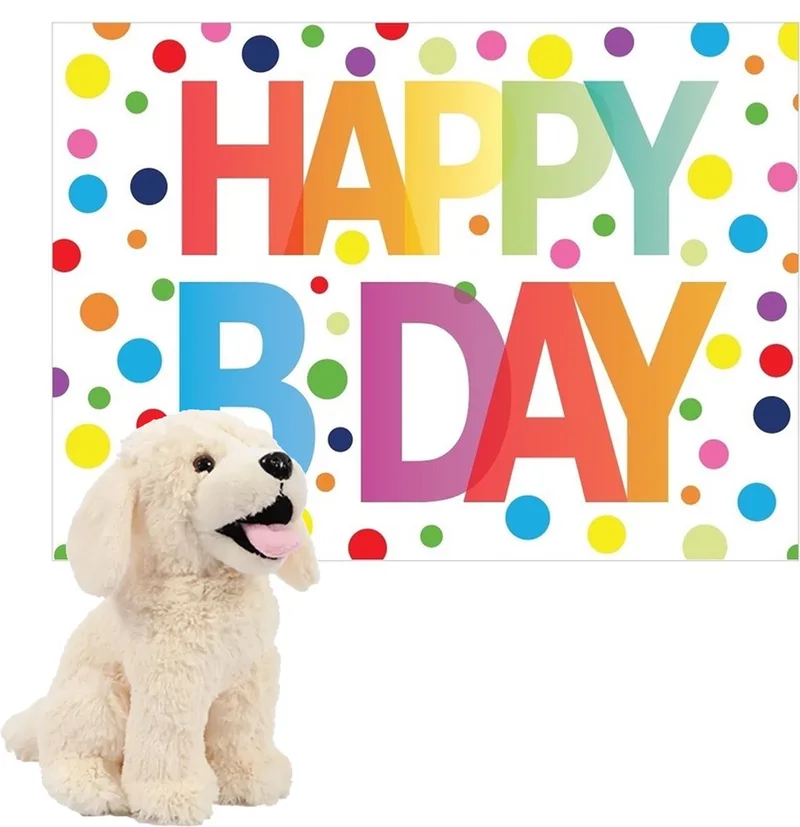 Labrador hond knuffel - 20 cm - pluche - met Happy Birthday kaart - verjaardag cadeau van Pia Soft Toys in Crème – productfoto