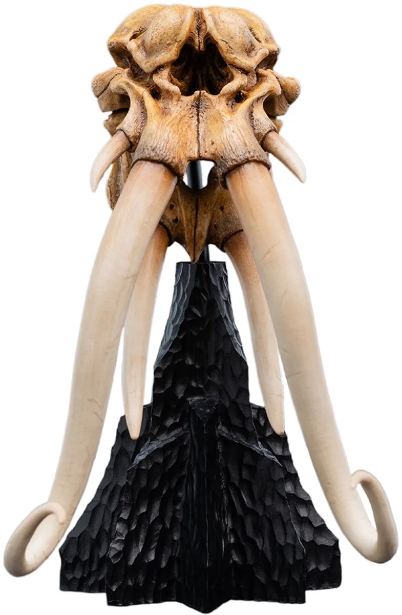 The Lord of the Rings - Figuur - Miniature Skull of a Mumak van Weta Workshop in Meerkleurig – productfoto