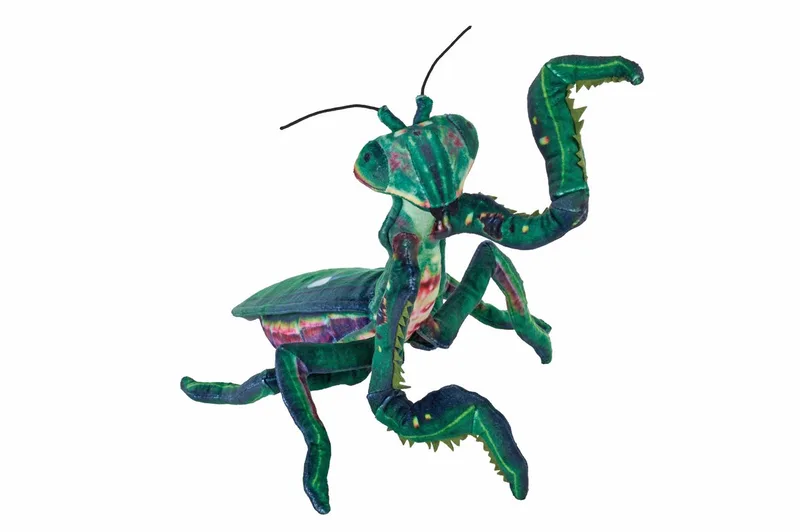 Bidsprinkhaan knuffel - 50 cm - pluche - sprinkhaan - insecten by Wild Republic in Green – product photo