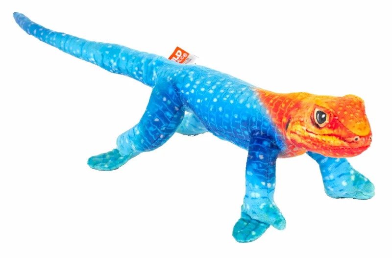 Hagedis knuffel - pluche - blauw/oranje - 35 cm - knuffeldier - gekko by Wild Republic in Blue – product photo