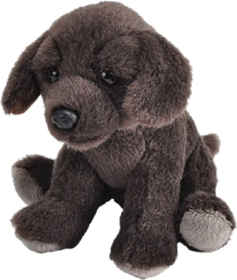 knuffel Bruine Labrador - hond/pup - 13 cm - knuffeldier - pluche by Wild Republic in Brown – product photo