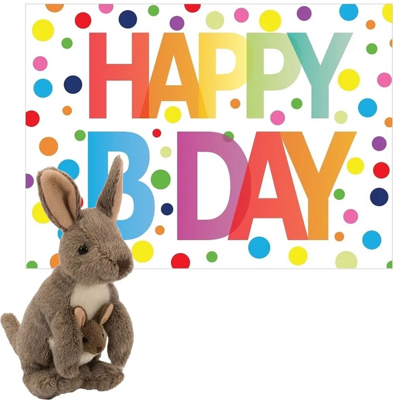 Knuffel kangoeroe 20 cm met Happy Birthday wenskaart by Wild Republic in Multicolour – product photo