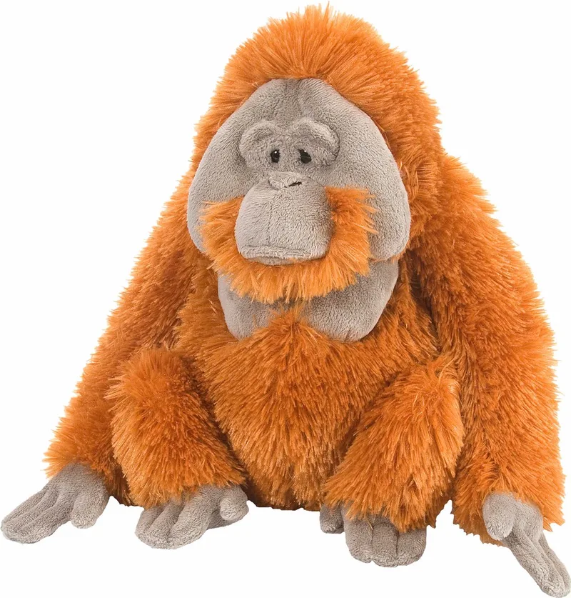 Knuffel Oerang oetan - pluche - knuffeldier - 30 cm - apen knuffels by Wild Republic in Multicolour – product photo